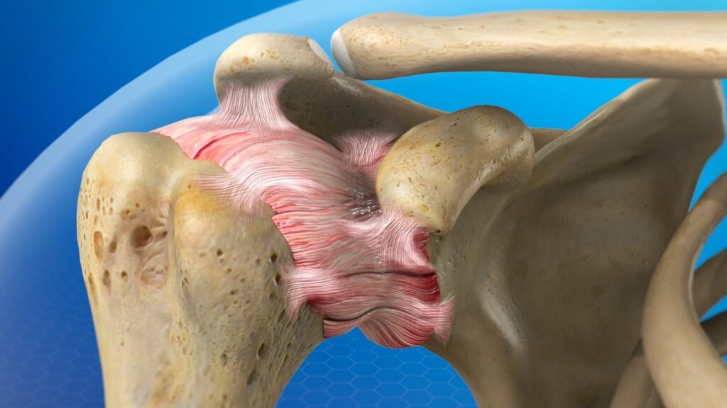 Frozen Shoulder Anatomy
